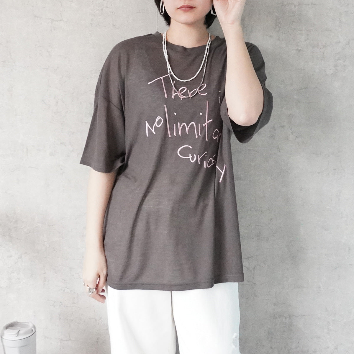 シアー刺繍ロゴ半袖Tシャツ