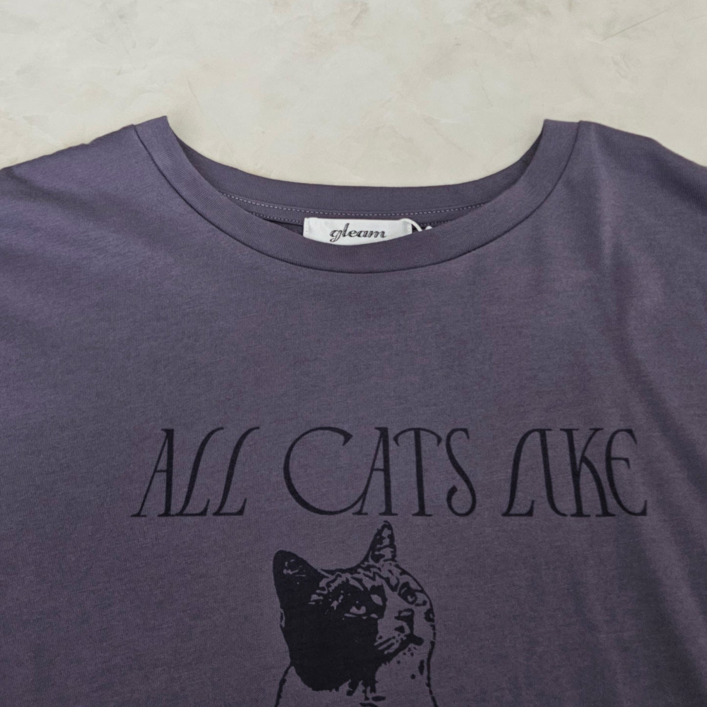 【先行予約】ねこプリントBIGTシャツ
