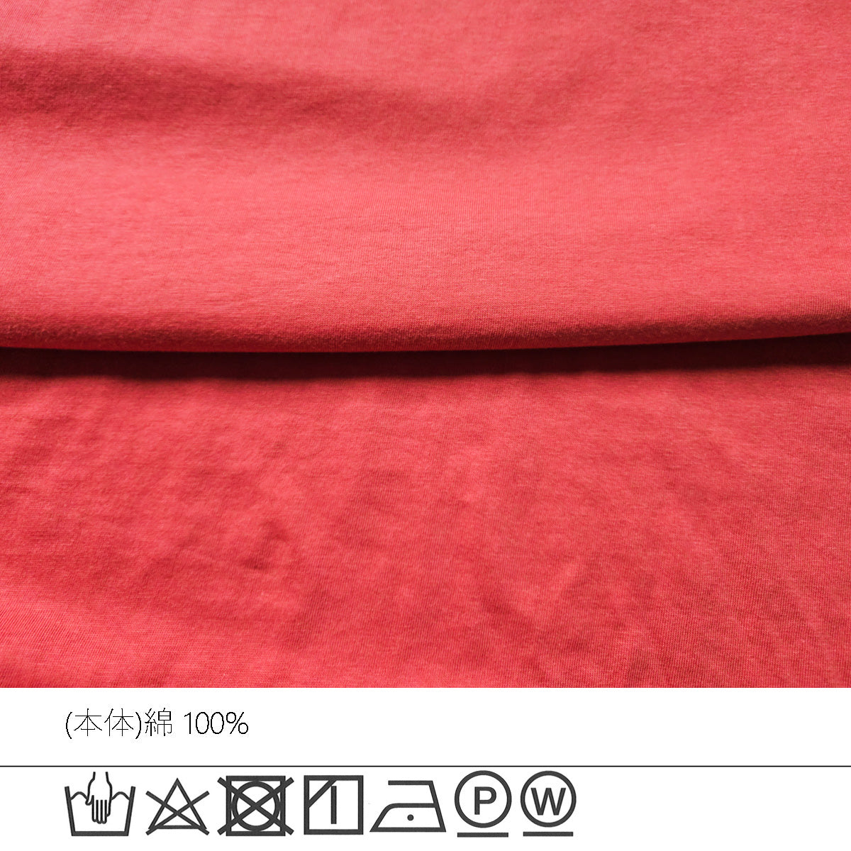 フリル半袖天竺Tシャツ
