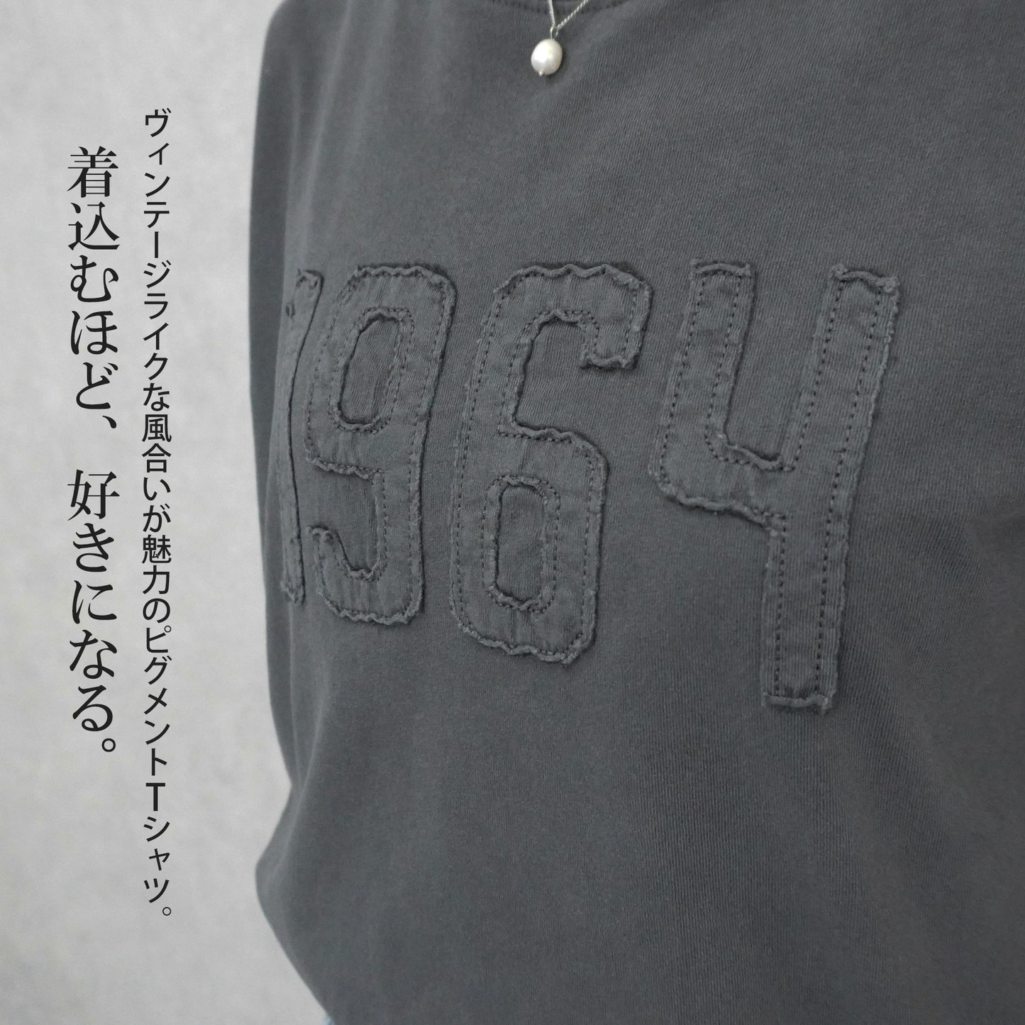 ピグメント刺繡天竺Tシャツ
