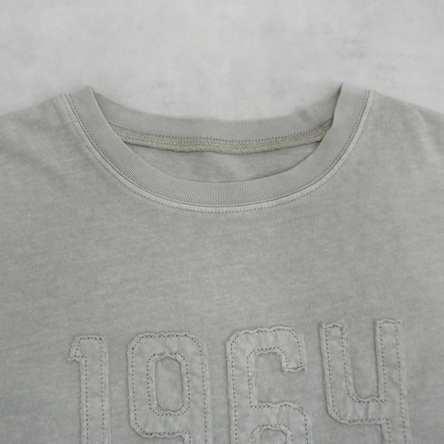 ピグメント刺繡天竺Tシャツ