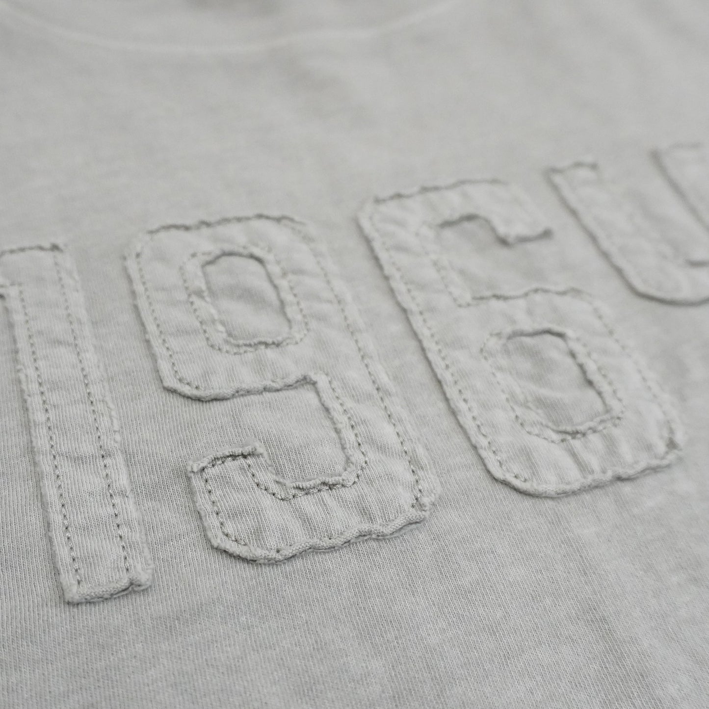 ピグメント刺繡天竺Tシャツ